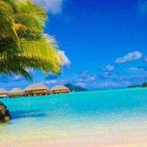 Meet your Posher, Marta